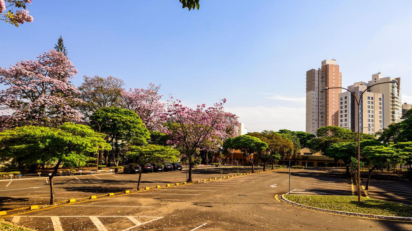 Flüge nach Londrina