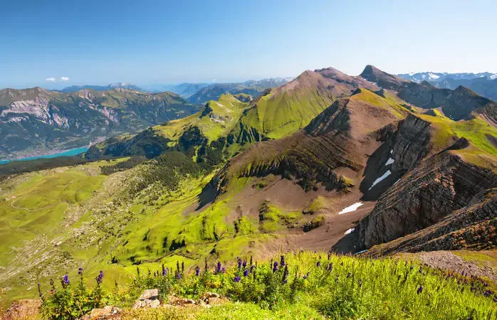 Bernese Alps