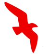 Air Arabia