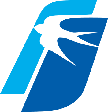 SkyJet Airlines